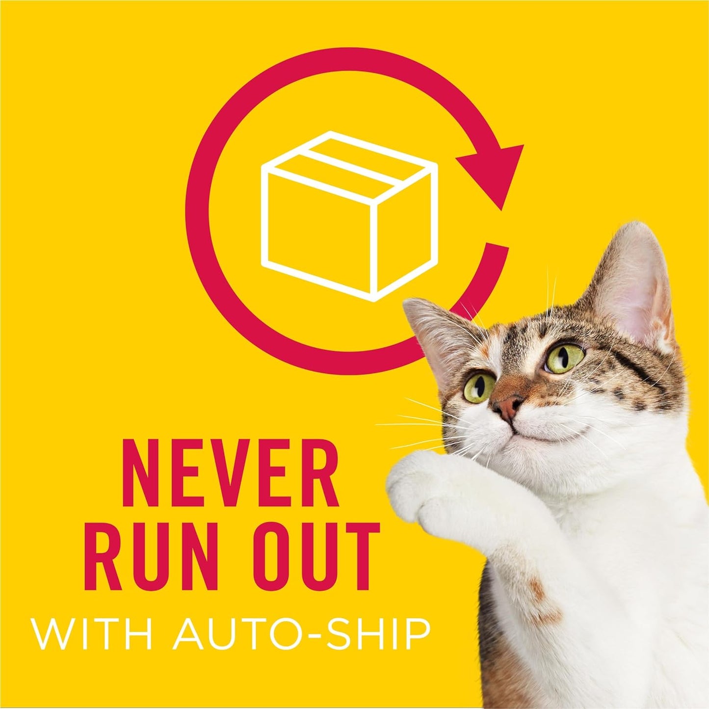 Purina Gravy Swirlers with Flavors of Chicken, Salmon and Gravy Dry Cat Food - 3.15 Lb. Bag