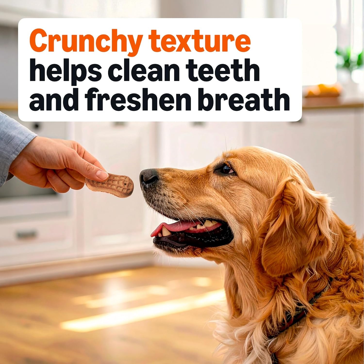 Crunchy Dog Biscuits Peanut Butter Flavor Dog Treats 5 Lb. Box