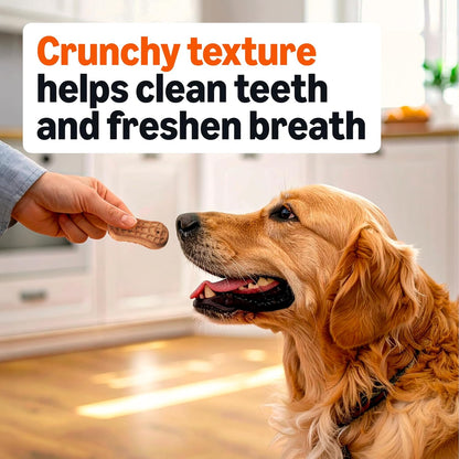 Crunchy Dog Biscuits Peanut Butter Flavor Dog Treats 5 Lb. Box