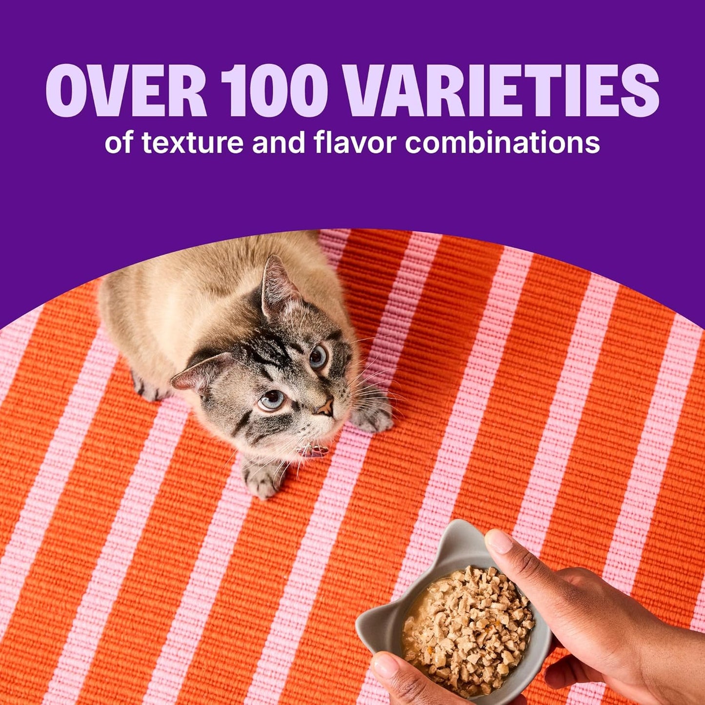 CORE Signature Selects Shredded Adult Wet Cat Food, Natural, Protein-Rich, Grain Free, 2.8 Ounce, 8 Pack (Poultry Variety Pack)