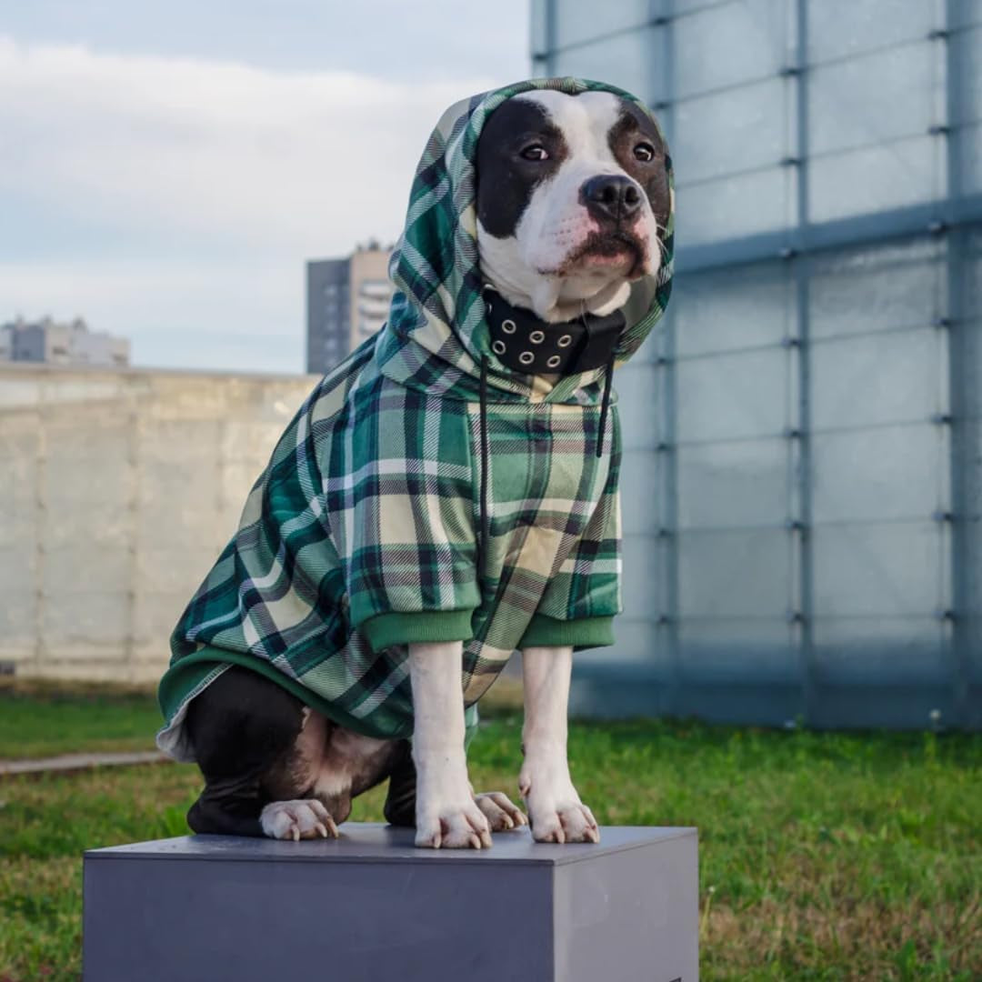 Dog Hoodie – Premium Dog Sweater for Small, Medium, and Large Dogs | Warm Outfits for French Bulldogs, Pitbull, Puppy, Winter Jacket Alternative - Green Plaid - L