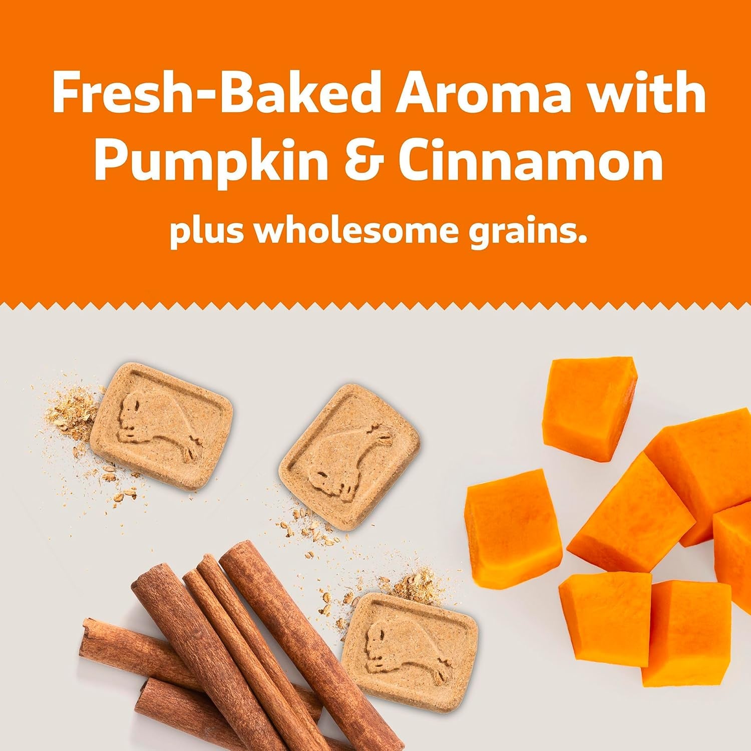 Health Bars Crunchy Dog Biscuits, Oven-Baked with Natural Ingredients, Pumpkin & Cinnamon, 16-Oz Bag