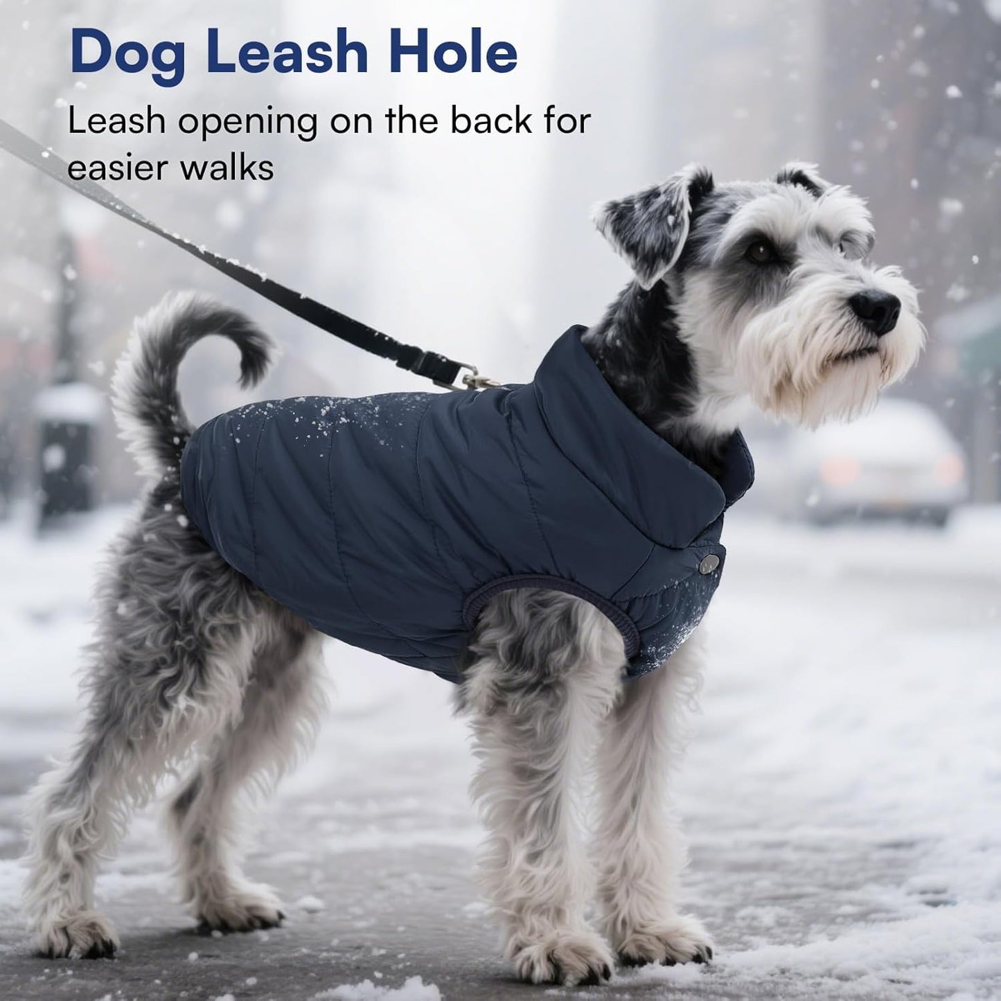 Dog Winter Coat - Waterproof Windproof Dog Jacket, Warm Snowproof Doggie Puffer Vest for Cold Weather, Lightweight Snow Coats for Small Medium Large Dogs(M, Blue)