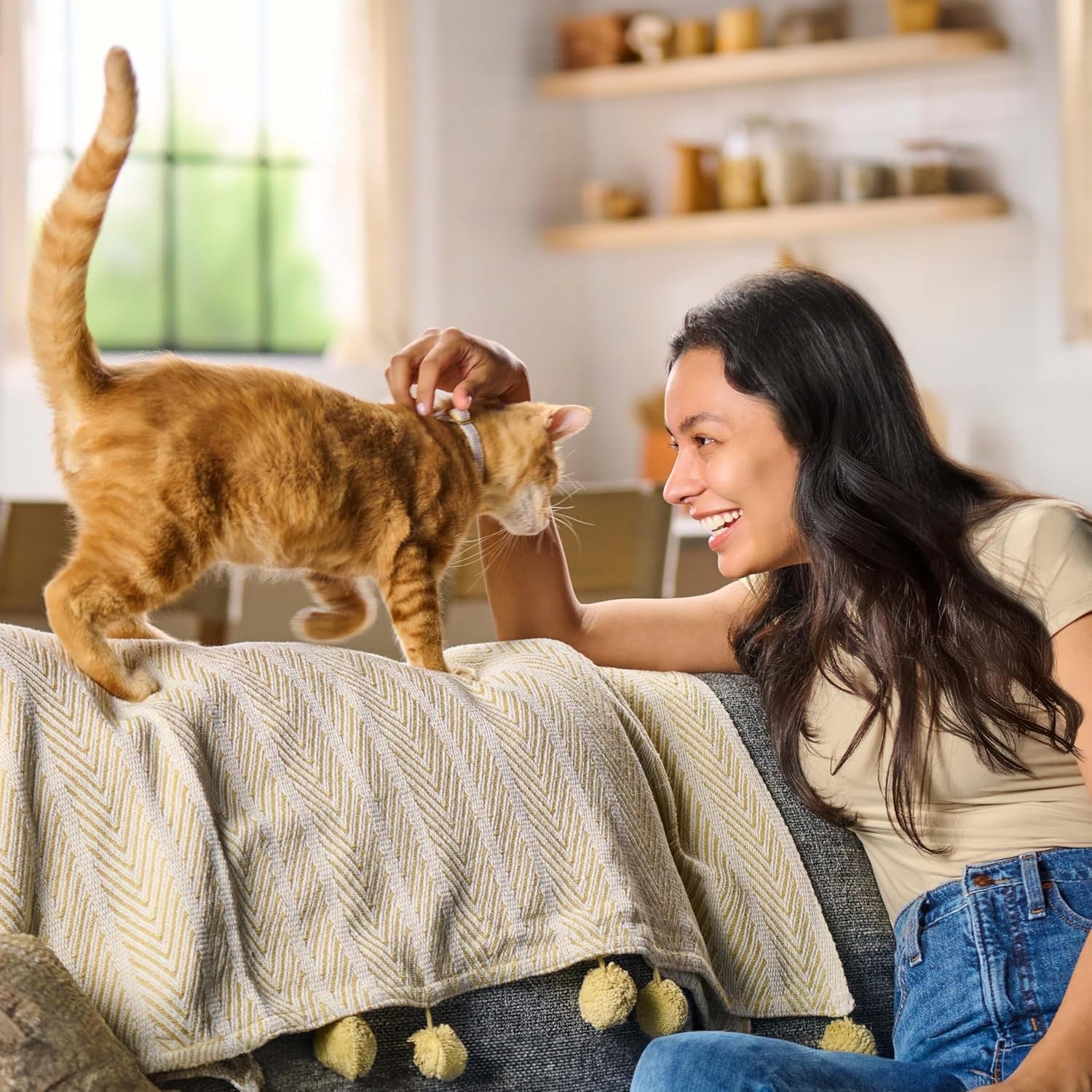 Gravy Bursts Dry Cat Food, Chicken, 3 LB Bag