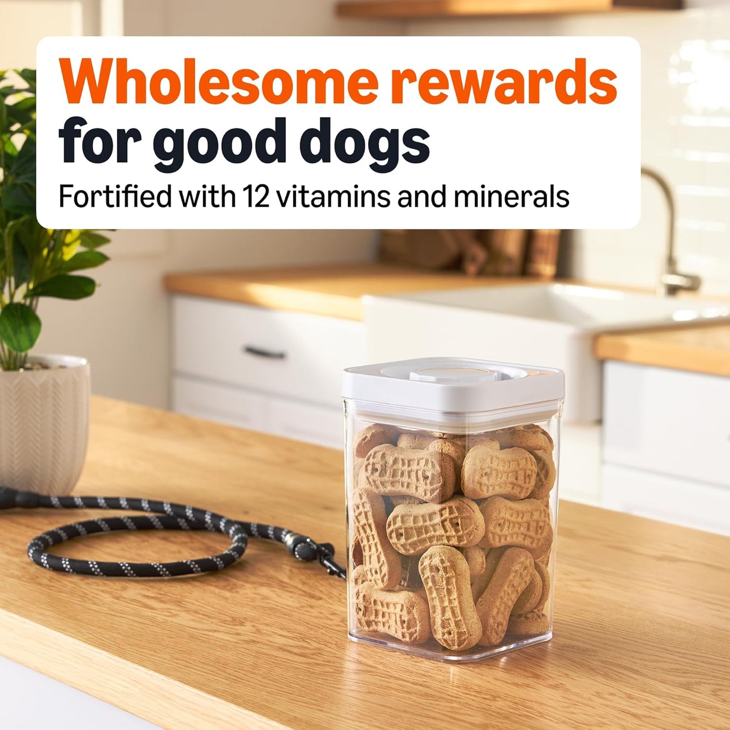 Crunchy Dog Biscuits Peanut Butter Flavor Dog Treats 5 Lb. Box