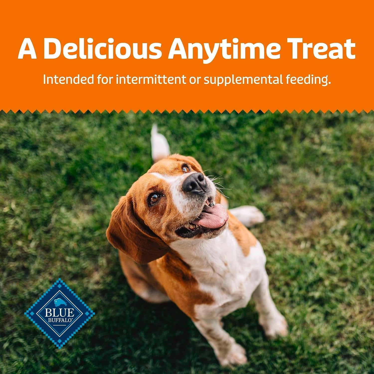 Health Bars Crunchy Dog Biscuits, Oven-Baked with Natural Ingredients, Pumpkin & Cinnamon, 16-Oz Bag