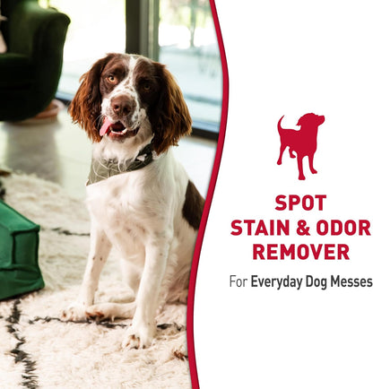 Nature’S Miracle Stain and Odor Remover Dog, 32 Ounces, Everyday Mess Enzymatic Odor Control Formula