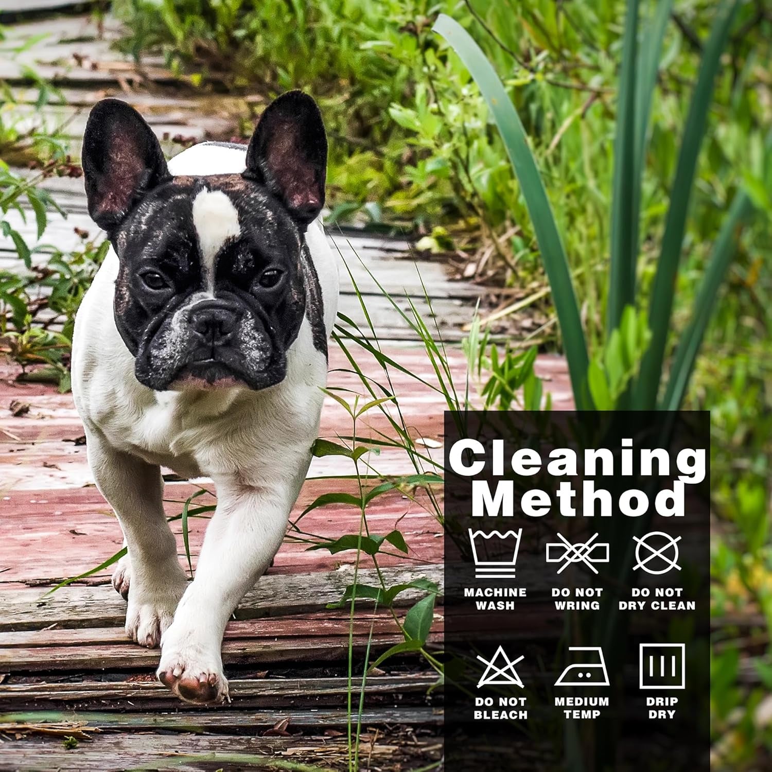 Discover Cozy Cotton Canine Wear: Soft, Lightweight, and Breathable Dog Shirt Vest with Eye-Catching Graphics(Security), Keeping Your Furry Friend Warm and Comfy! Black M