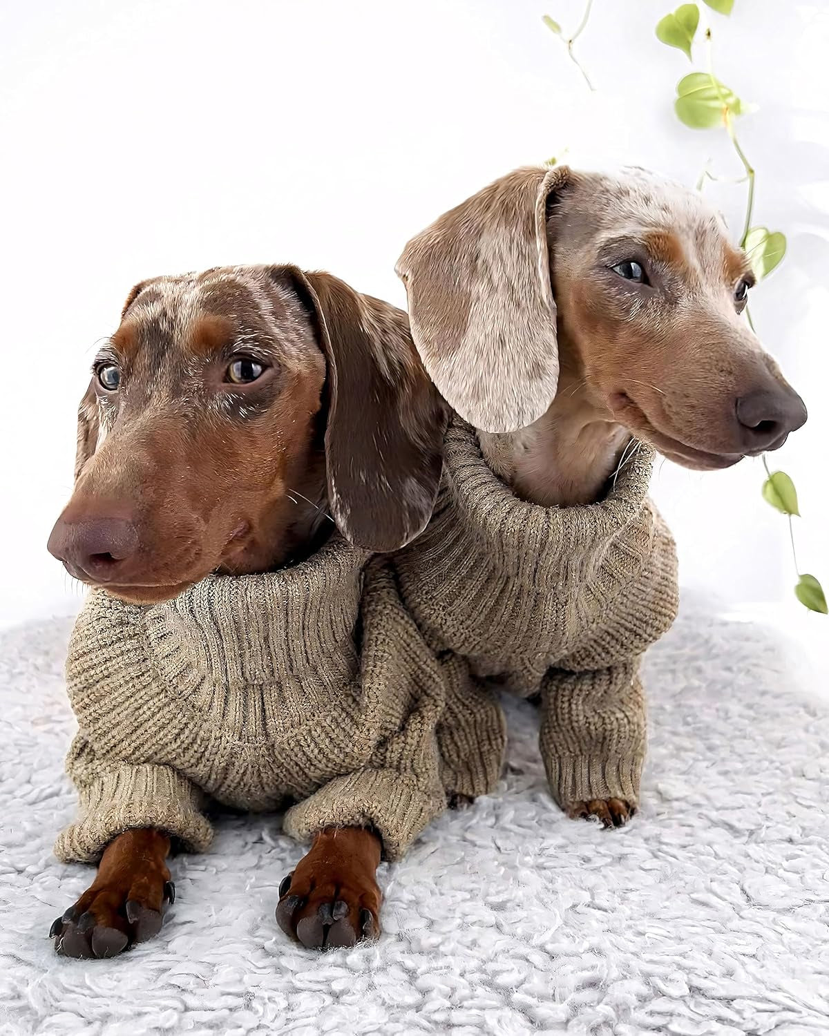 Thermal Knitted Dog Sweater Doggy Winter Coat Pet Clothes Doggie Turtleneck Jacket Puppy Outfits Cat Sweatsuit Sage Green Medium