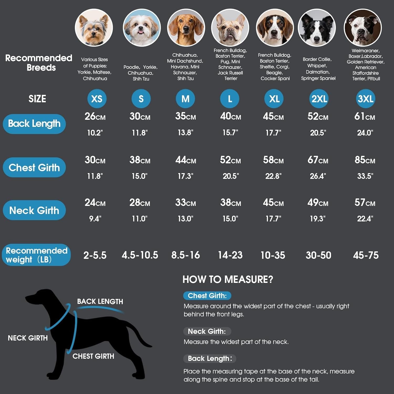 Dog Winter Coat - Waterproof Windproof Dog Jacket, Warm Snowproof Doggie Puffer Vest for Cold Weather, Lightweight Snow Coats for Small Medium Large Dogs(M, Blue)