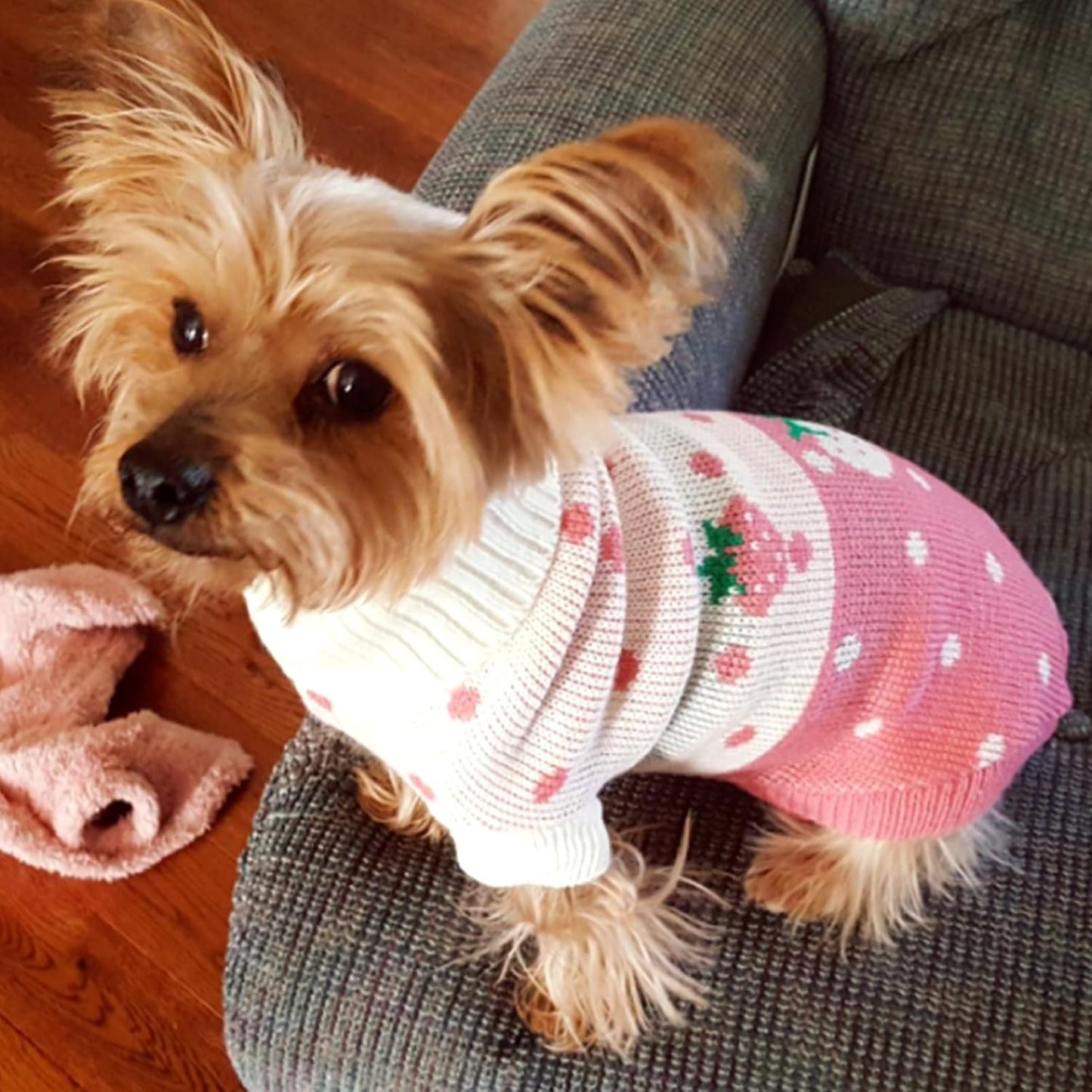 Pet Dog Sweaters Classic Knitwear Turtleneck Winter Warm Puppy Clothing Cute Strawberry and Heart Doggie Sweater (Pink, Small)